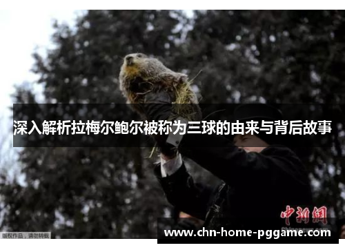 深入解析拉梅尔鲍尔被称为三球的由来与背后故事 深入解析拉梅尔鲍尔被称为三球的由来与背后故事