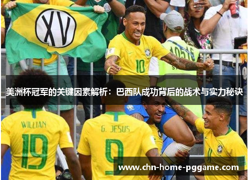 美洲杯冠军的关键因素解析：巴西队成功背后的战术与实力秘诀